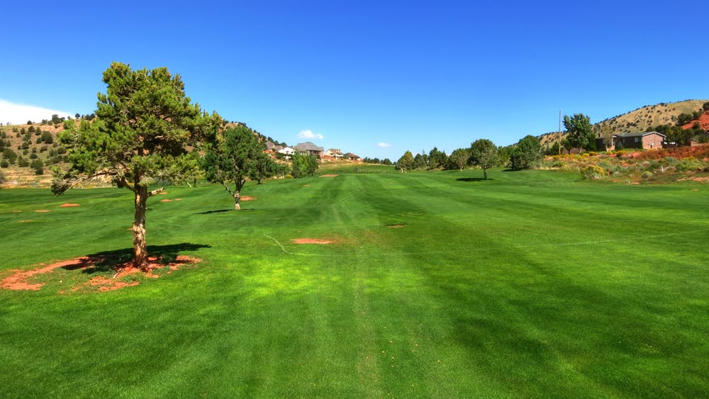 Cedar Ridge #12