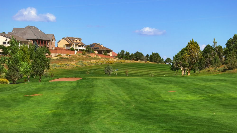 Cedar Ridge #12