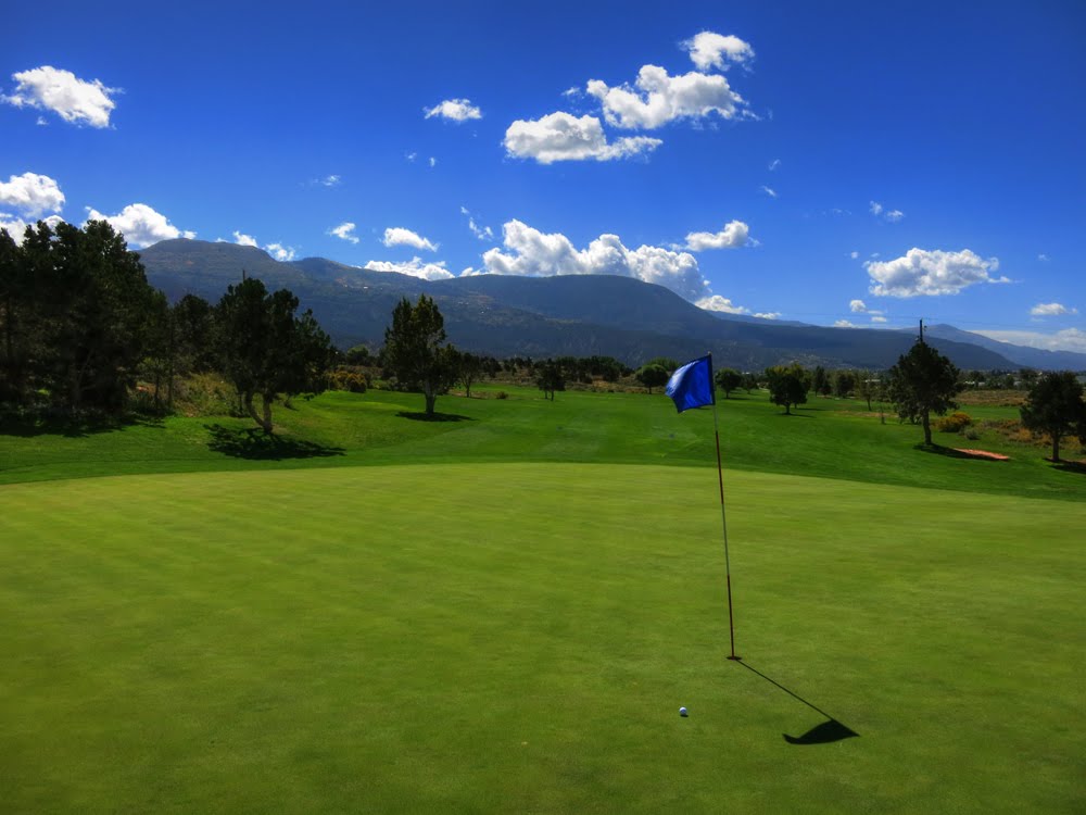 Cedar Ridge #12