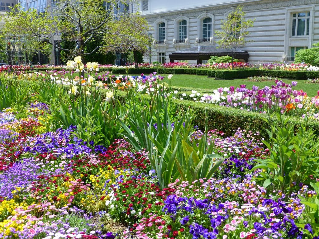 The flowers of Salt Lake City