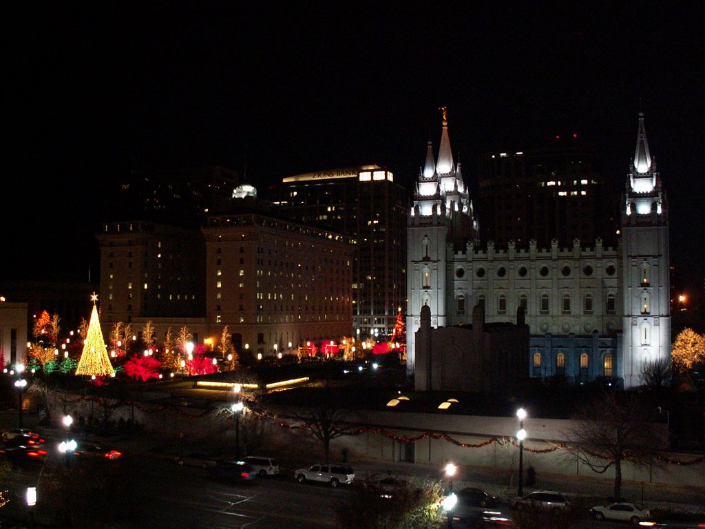 Chirstmas View