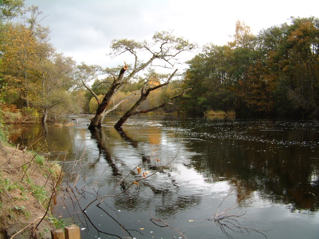 Aviemore - The Riverside