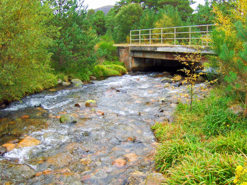 Fancy Bridge