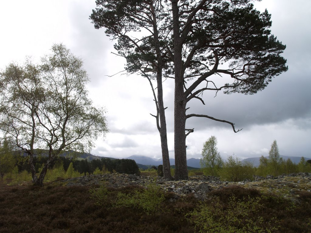 Ring cairn