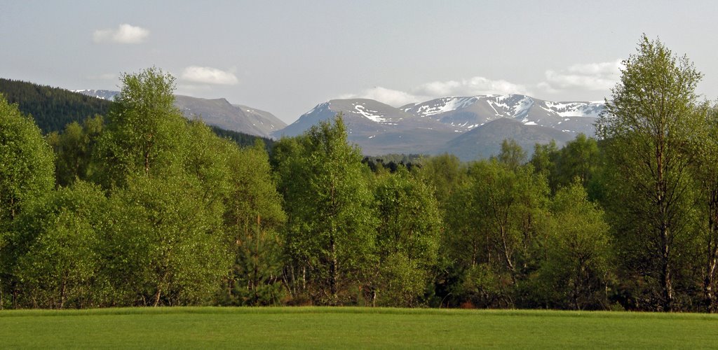 spey valley golf course