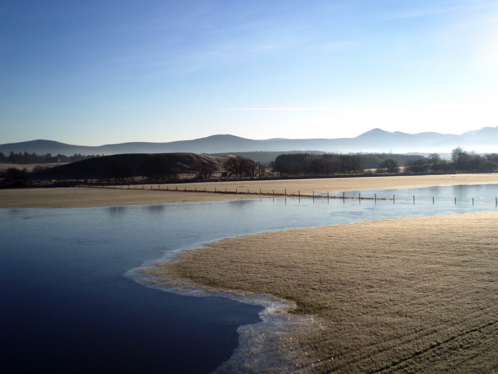 Aviemore, Scottish Highlands, December 2006