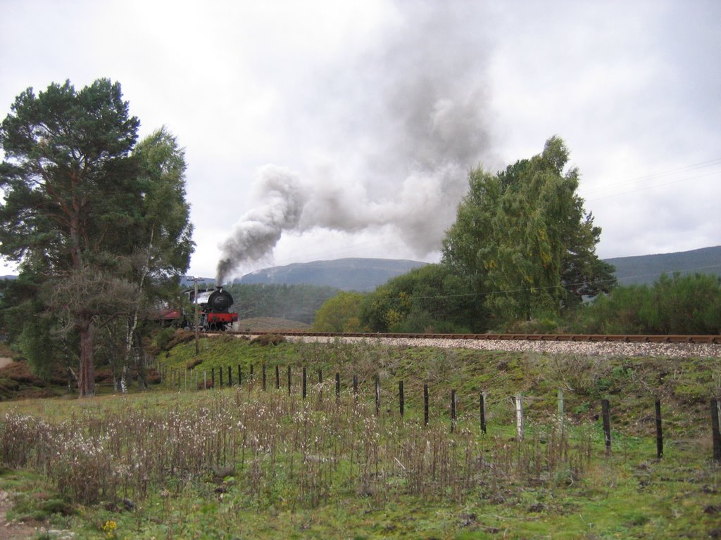 Aviemore Train