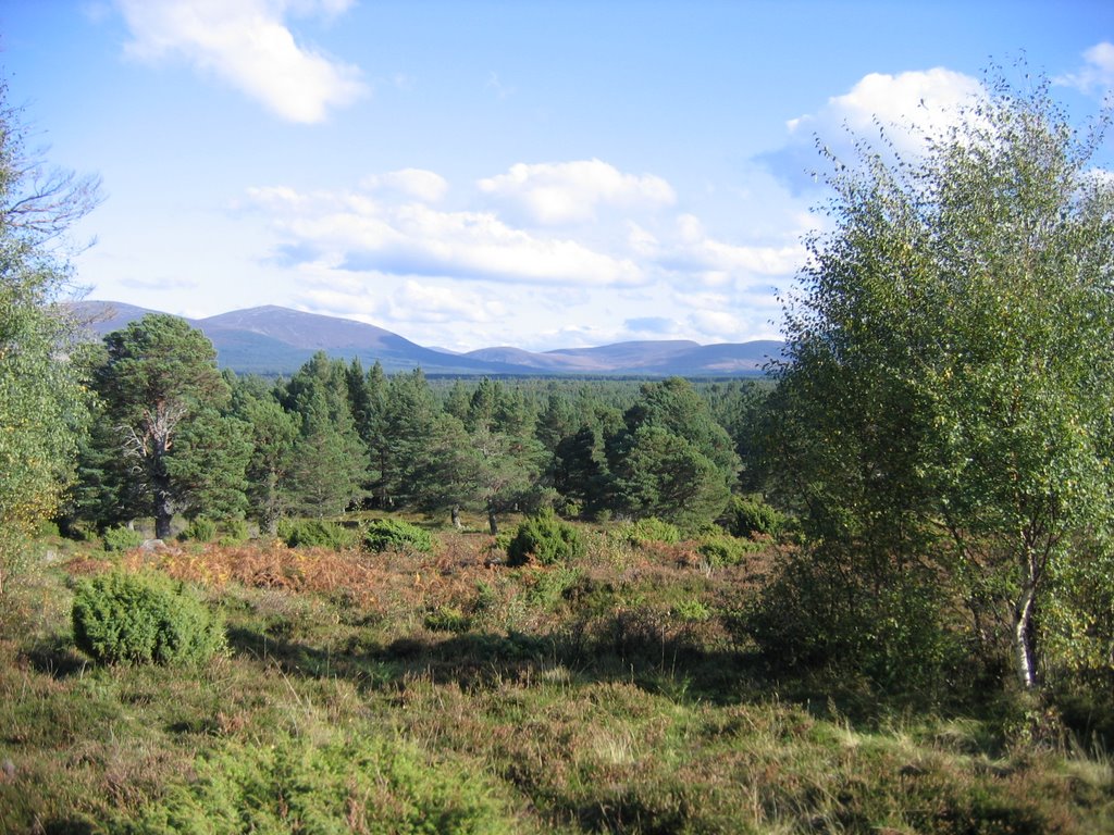 Aviemore countryside
