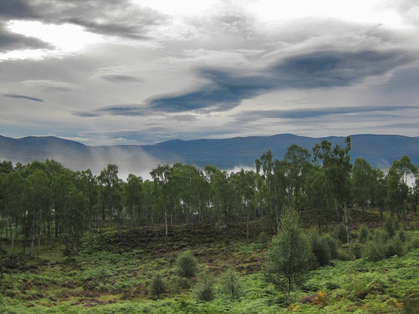 Parque Nacional Cairngorms