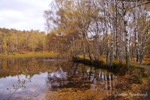 Aviemore