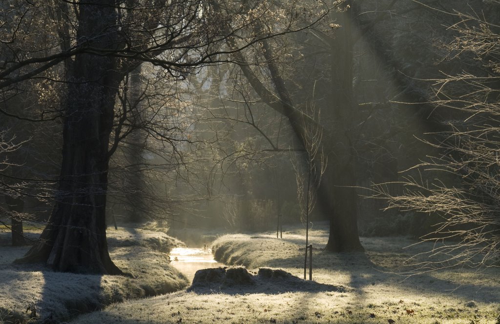 Winter`s` Frost