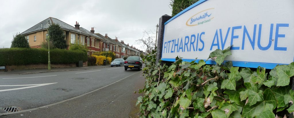 Bournemouth - Fitzharris Avenue