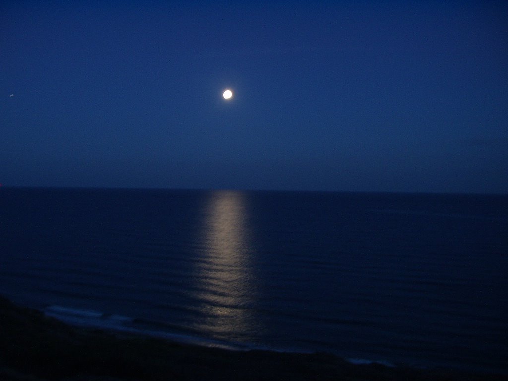 Midnight Sky