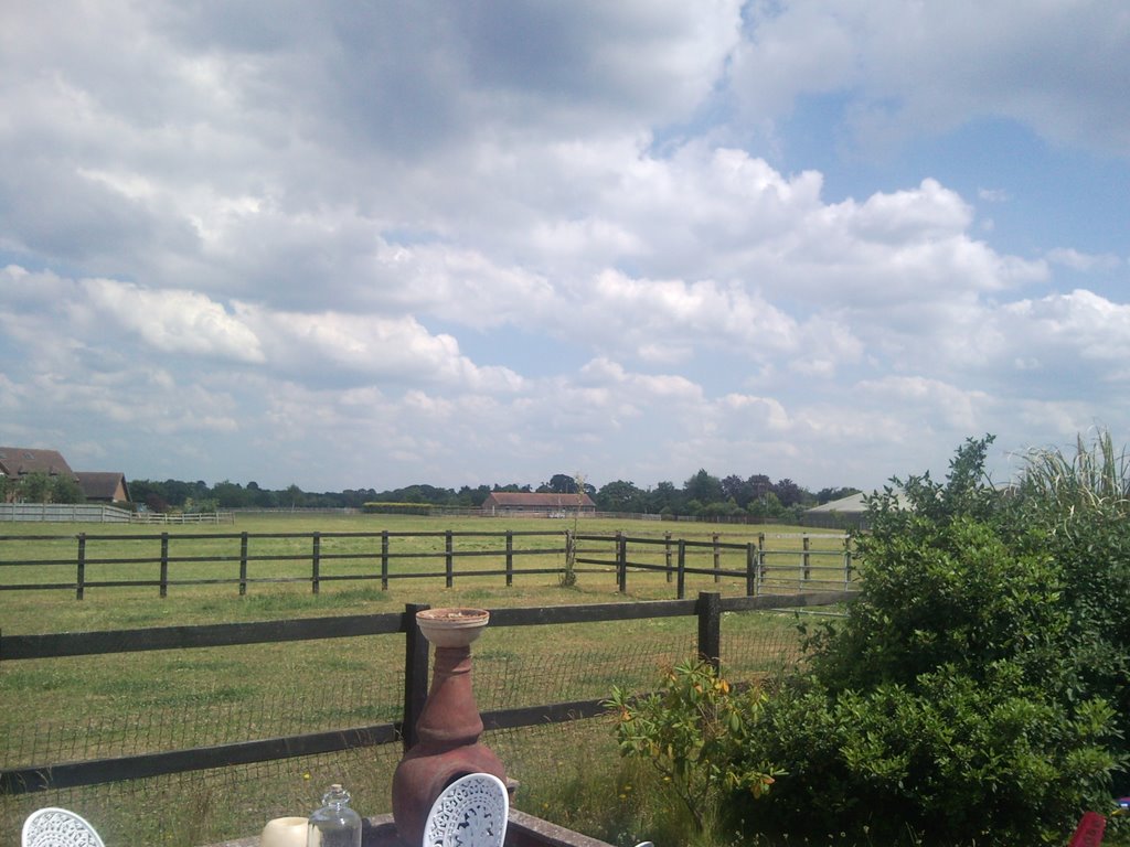 A farm