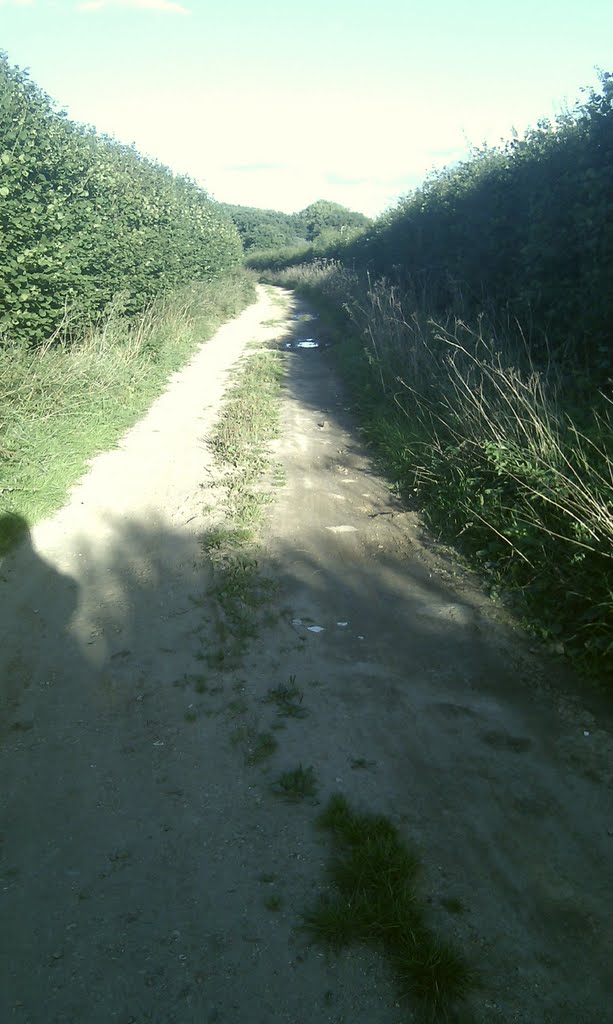 SZ23295 95955 Looking west down Walkford Lane (Byway) fom northern end