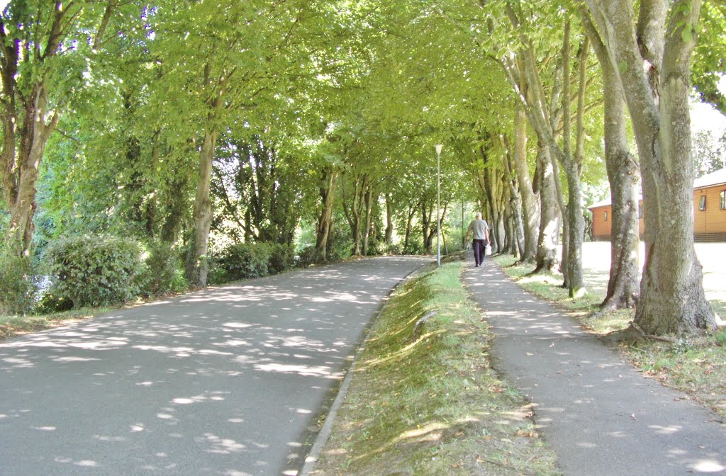 Entrance to Naish Holiday Park, Highcliffe