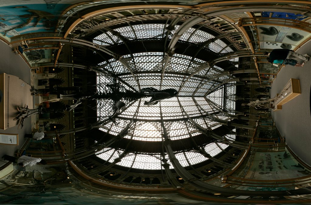 University Museum, Oxford - Looking Up