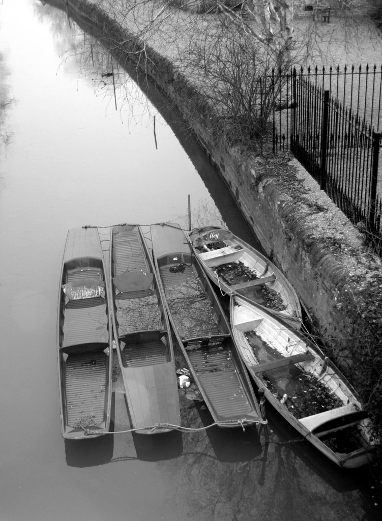 Oxford Punts in Winter by Tony Reid