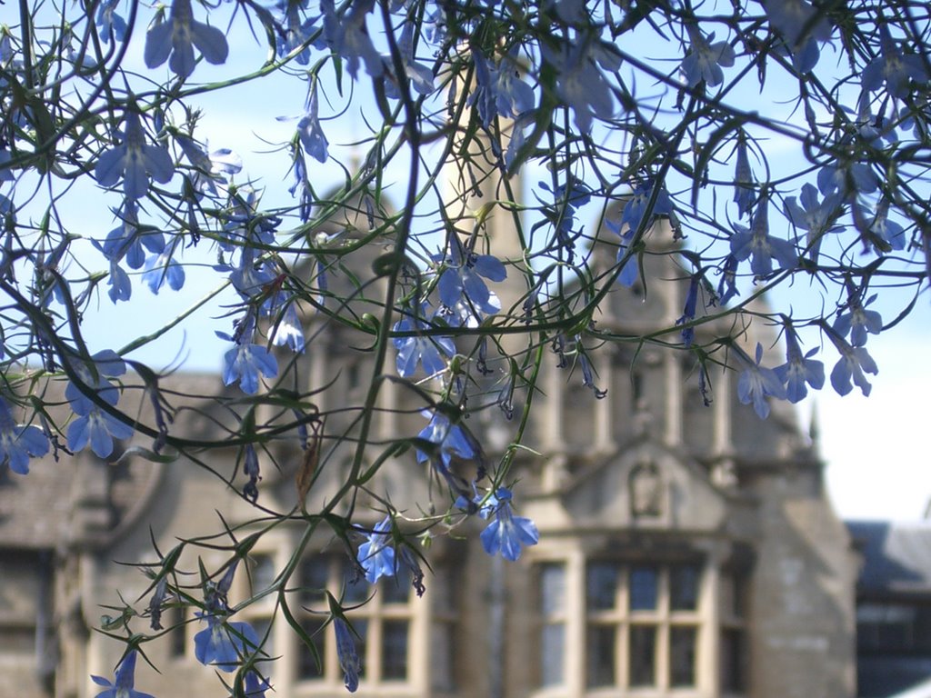 Oxford college