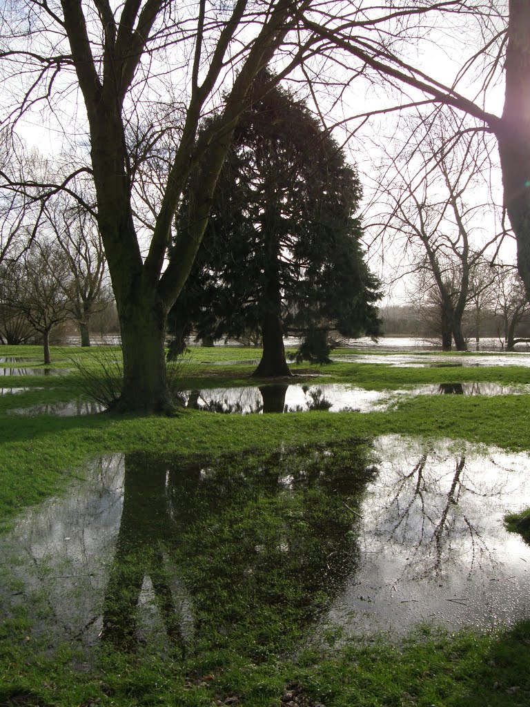 The Abbey Meadow