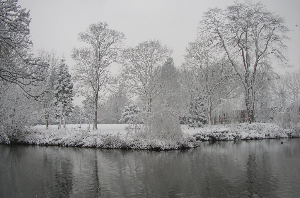 Abingdon Abbey Grounds in Winter