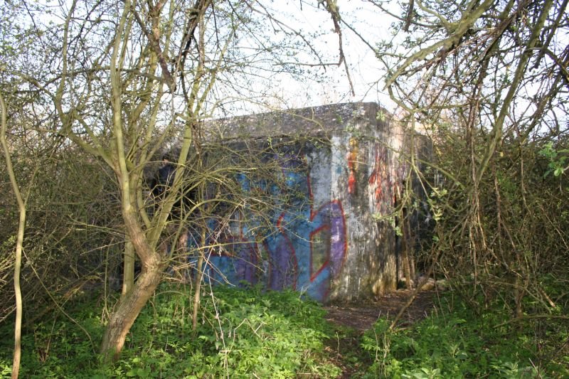 Abingdon Type 28