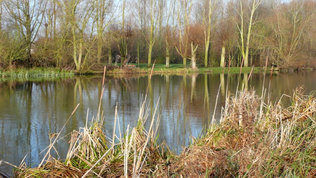 River Thames, Christmas day