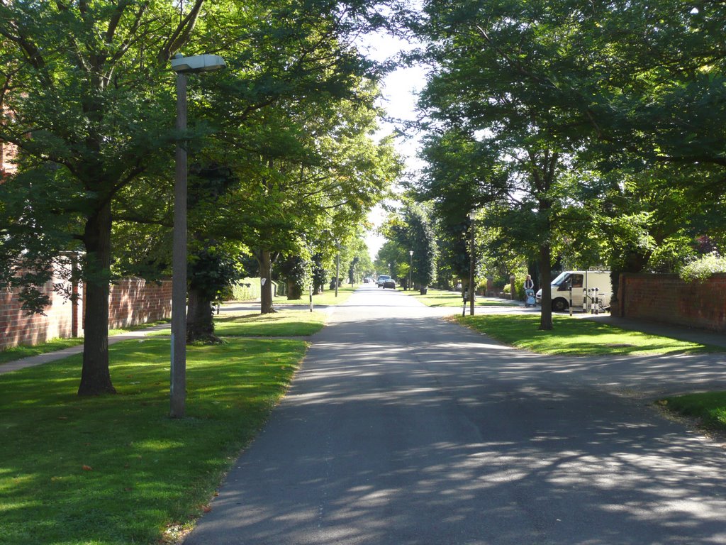 Park Road, early September