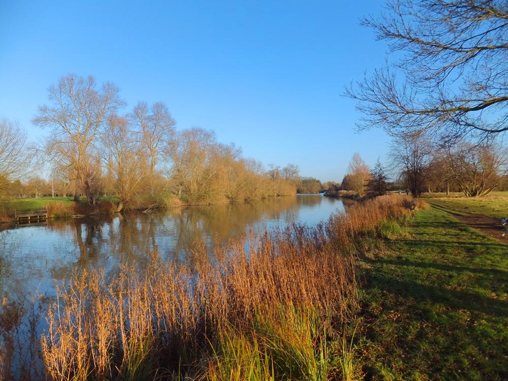 Abingdon riverside