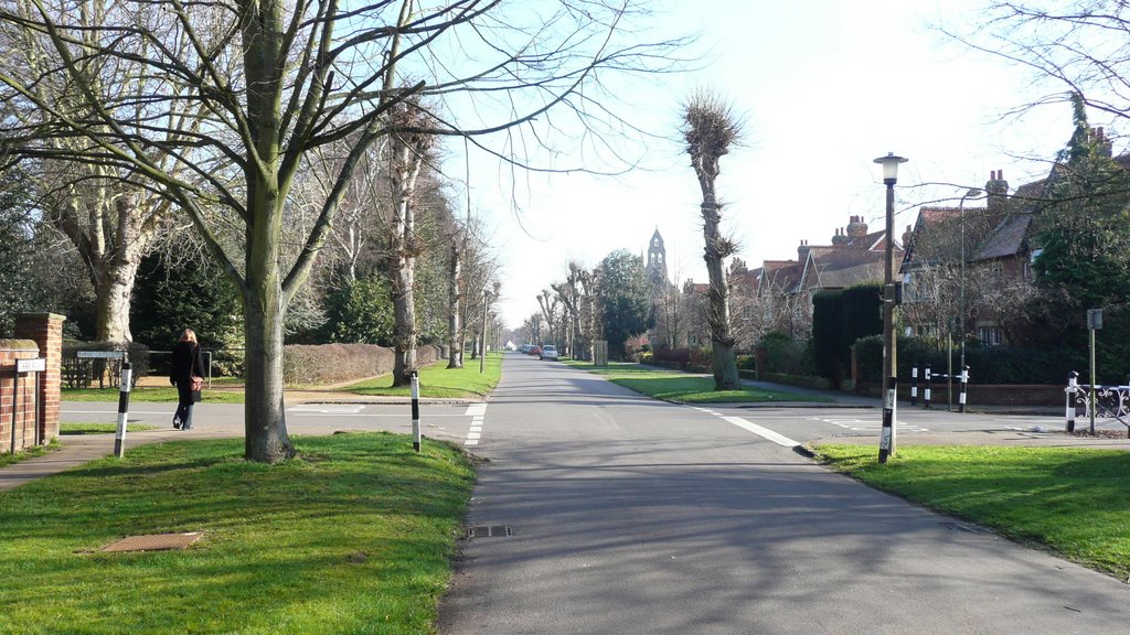 Park Road - winter sunshine
