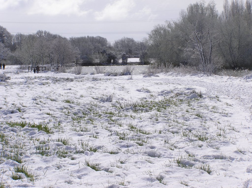 Thames Path near Abingdon