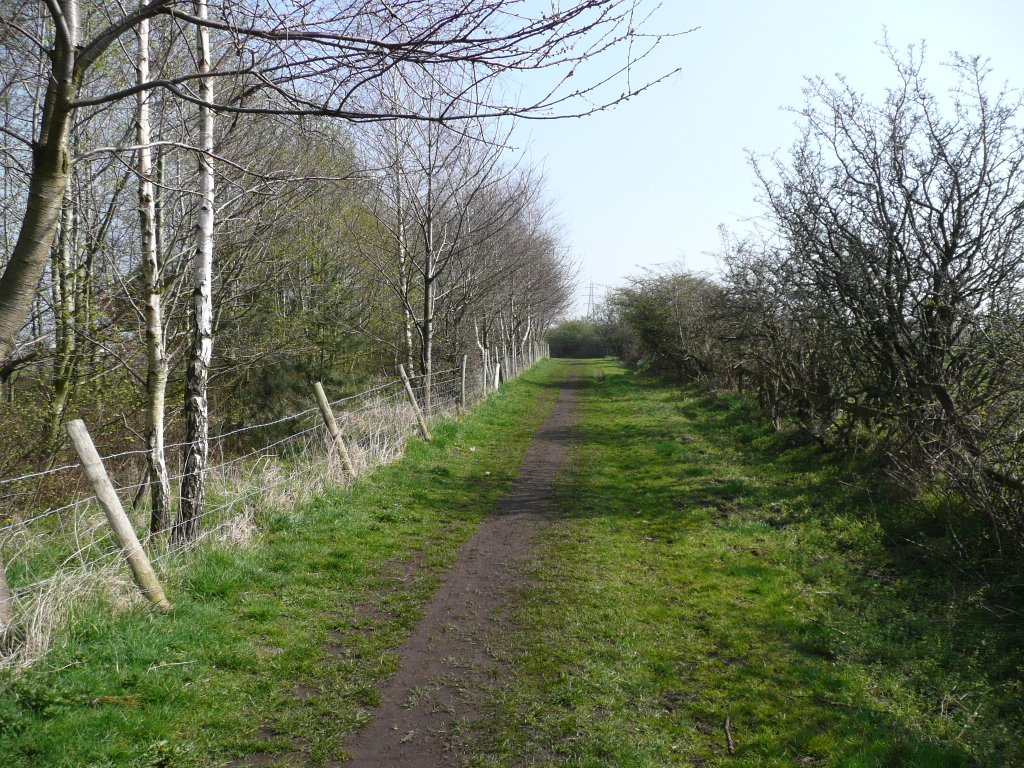 Footpath