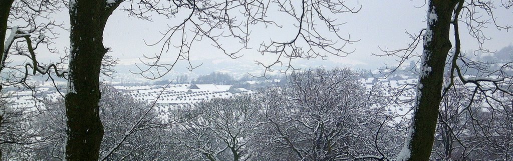 Accringtons snowy rooftops from Oak Hill Park