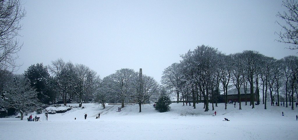 Sledging in Oak Hill Park