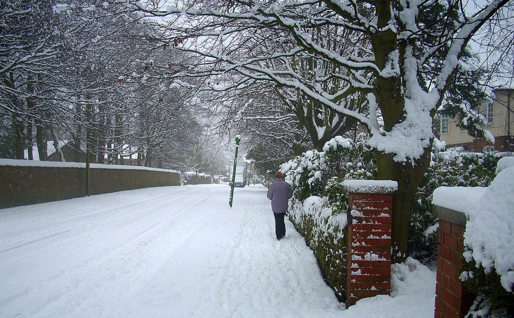 Newton Drive
