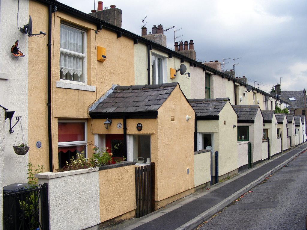 Mountain Lane