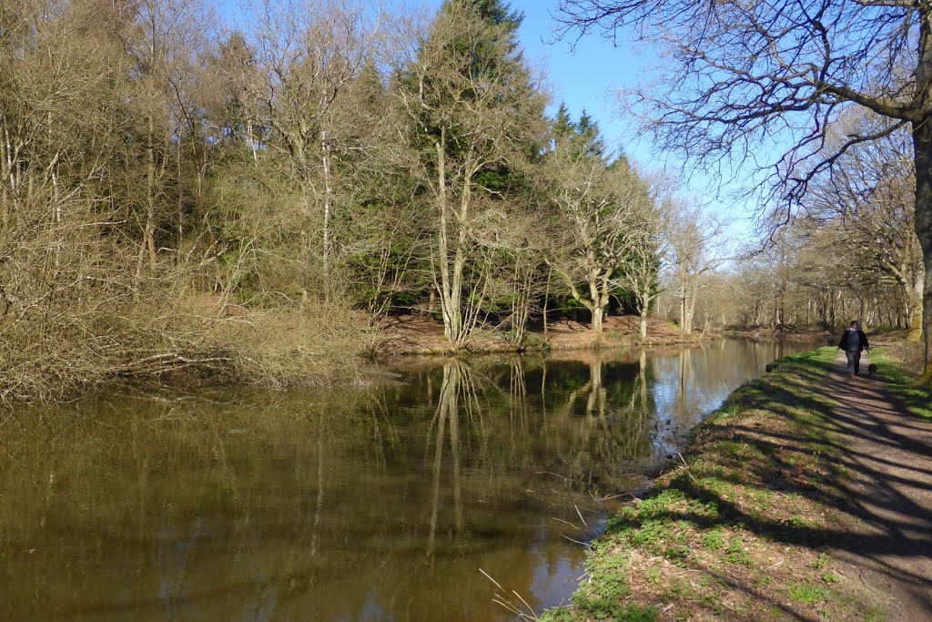 Basingstoke Canal, near Fleet Road, looking north