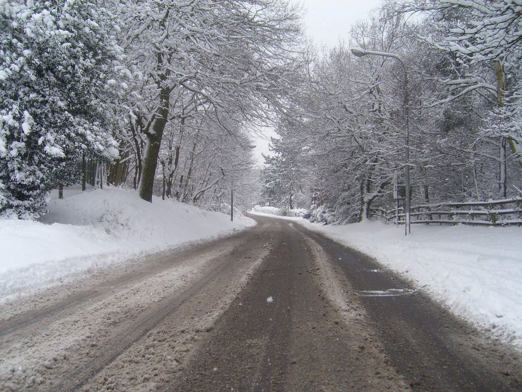 ALDERSHOT, ORDNANCE ROAD, FEB 09