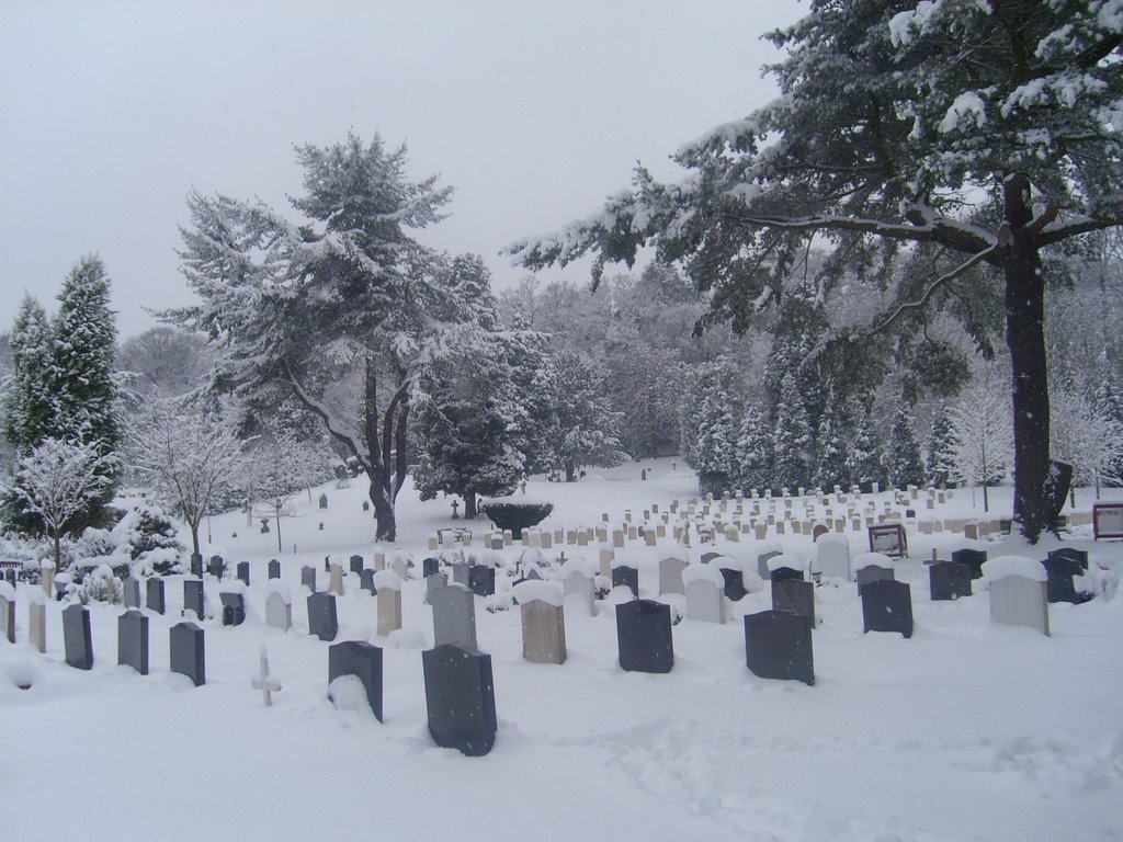 ALDERSHOT, MILITARY CEMETERY, FEB 09