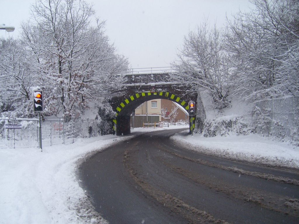 ALDERSHOT, THE RAILWAY BRIDGE, NORTH LANE