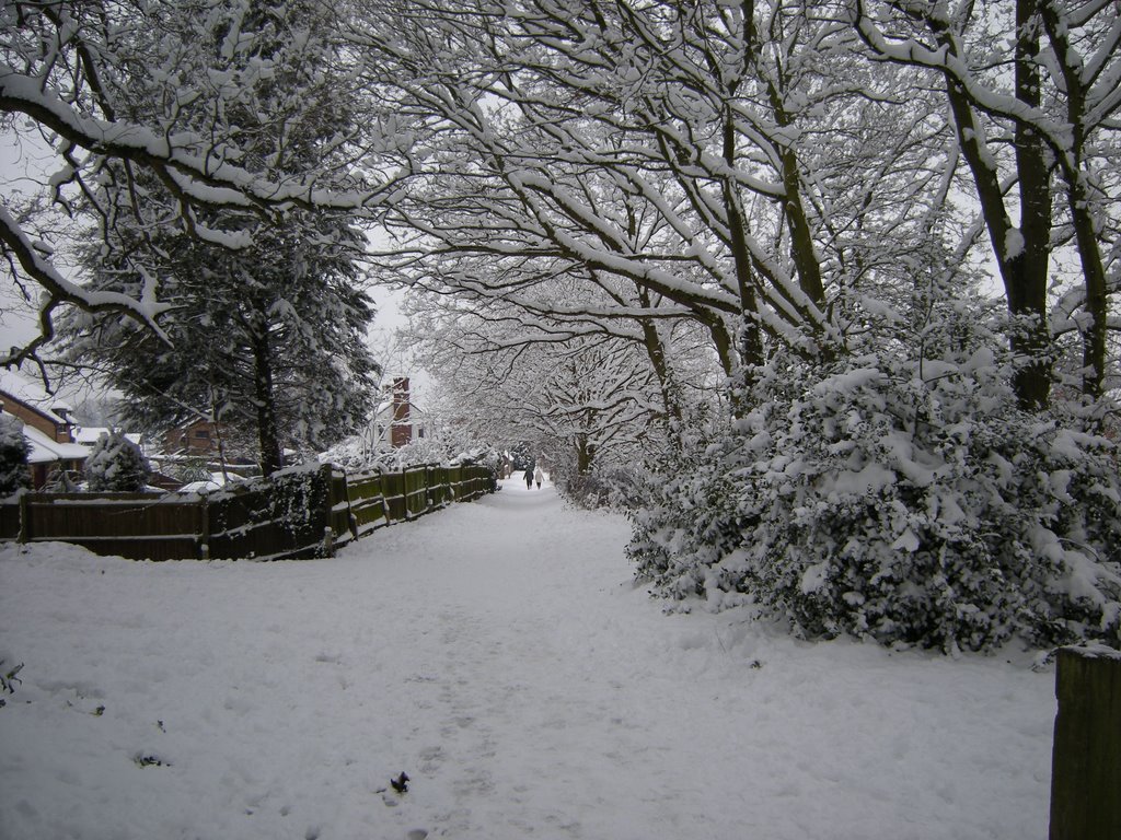 Winter at Brickfields