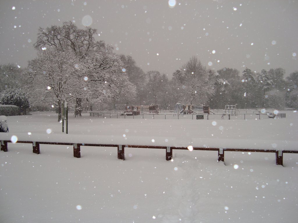Snow in Aldershot Park