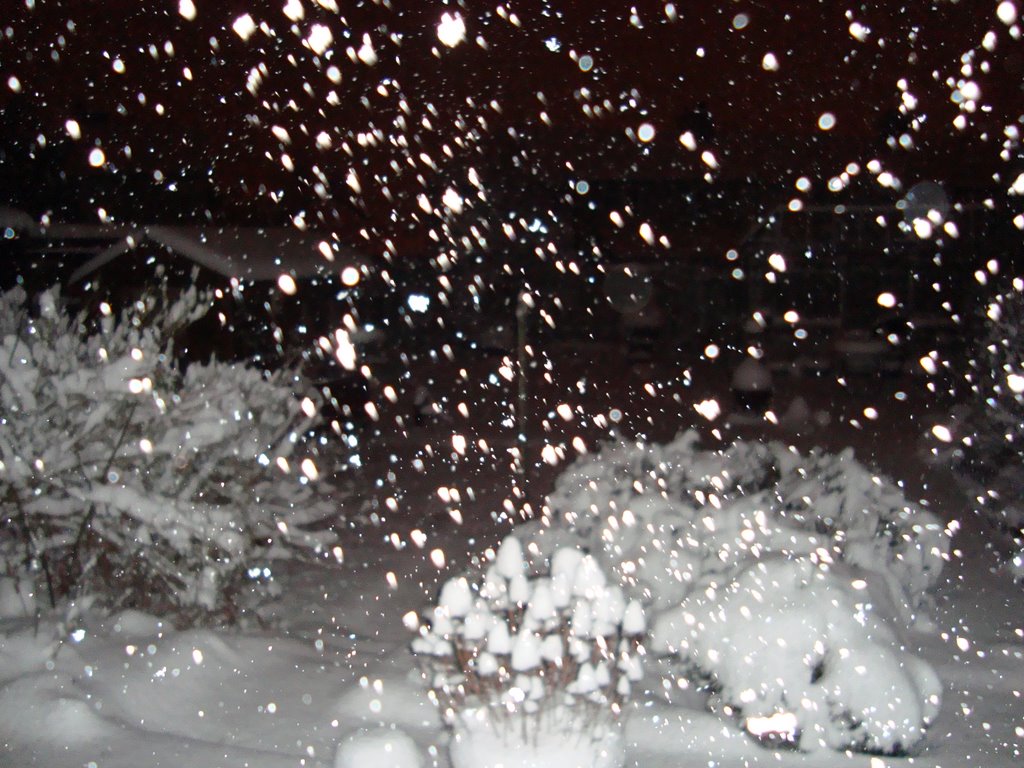 Night snow