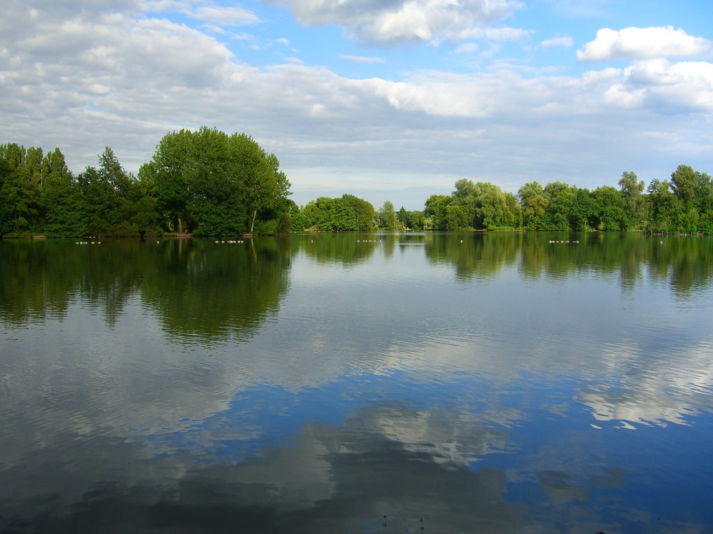 Badshot Lea Big Pond