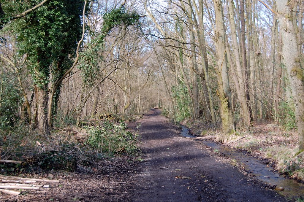 Rowhill near Aldershot march 2010