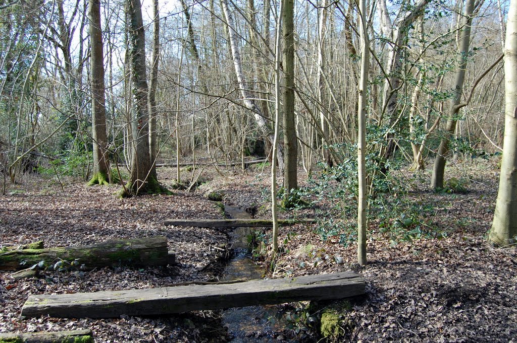 Rowhill near Aldershot march 2010