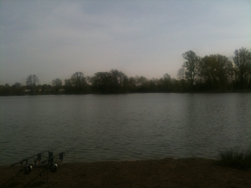 Farnham angling society, Badshot Lea Big Pond, swim 57