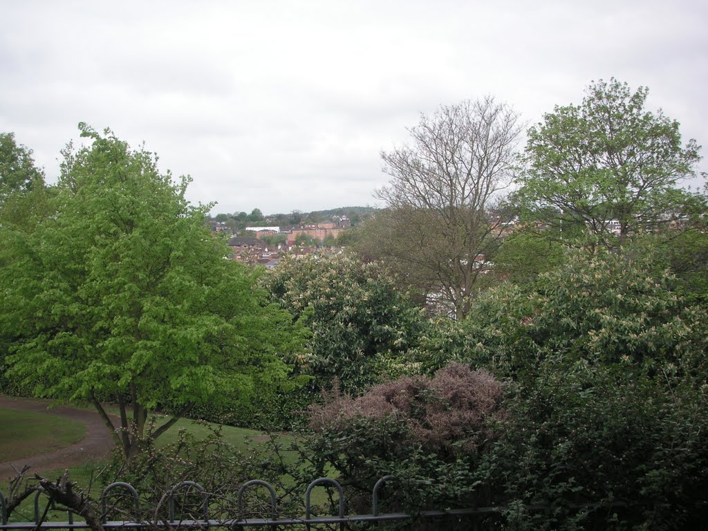 View from 10 Rosedale