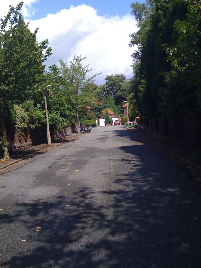 Kenwood Ave, Hale
