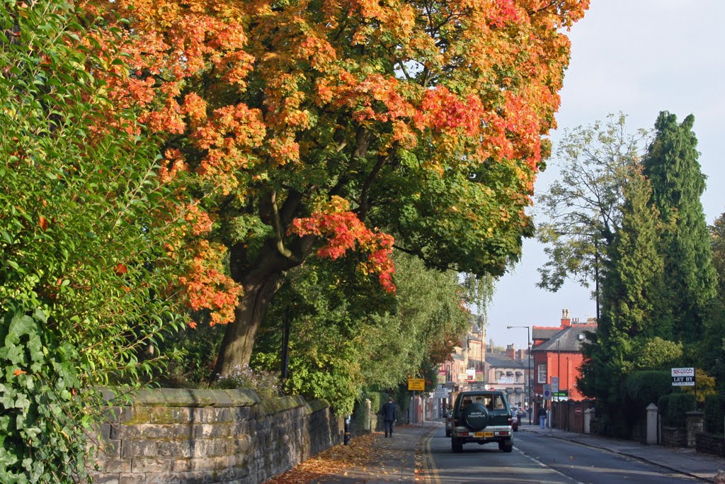 Ashley road Altrincham